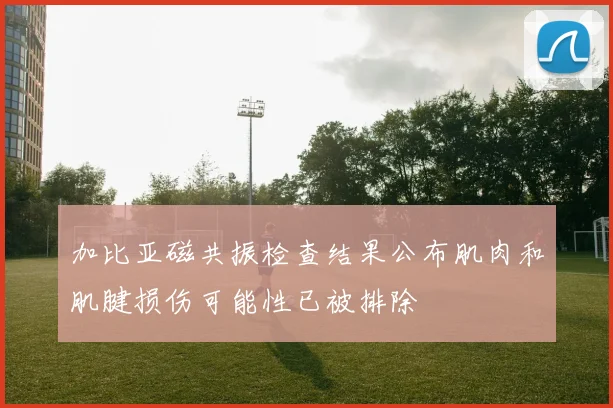 加比亚磁共振检查结果公布肌肉和肌腱损伤可能性已被排除