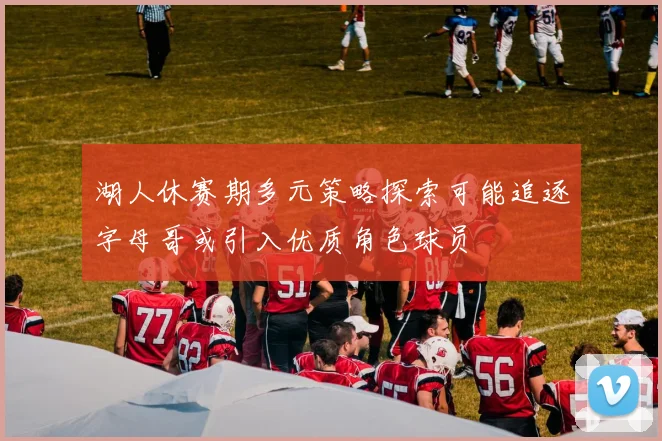 湖人休赛期多元策略探索可能追逐字母哥或引入优质角色球员