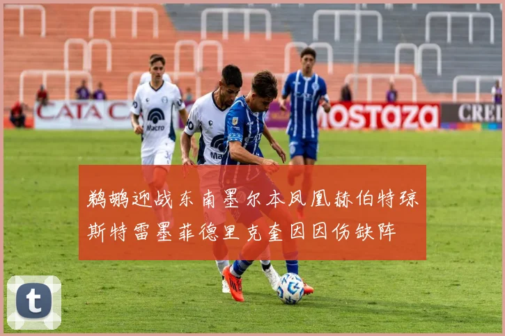 鹈鹕迎战东南墨尔本凤凰赫伯特琼斯特雷墨菲德里克奎因因伤缺阵
