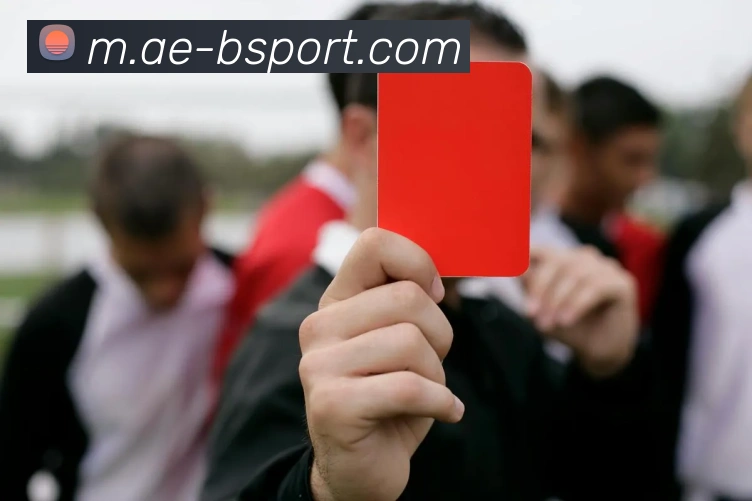 B体育APP 高清赛事图